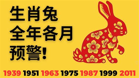 2024屬兔每月運勢|【2024 屬兔運程】免驚！2024年屬兔運勢全攻略 逆轉「諸事不順。